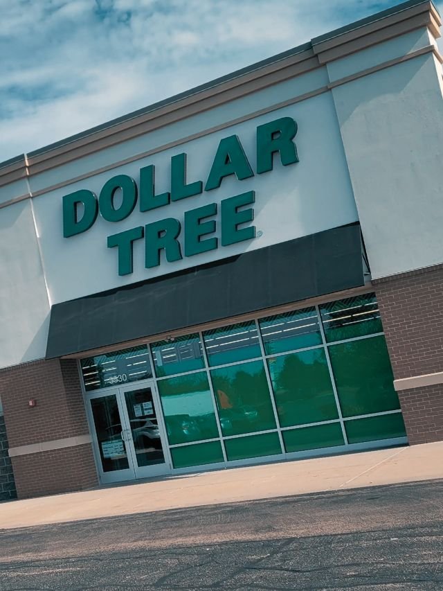 5 Viral Home Decor Items at Dollar Tree for Summer