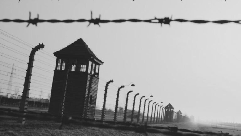 Best 50 Holocaust Project Ideas